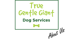 True Gentle Giant Dog Services - About Us