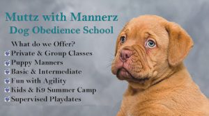 Muttz with Mannerz - Trusted Partner of True Gentle Giant Dog Services