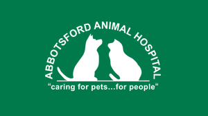 Abbotsford Animal Hospital and its Physical Rehabilitation Service - Trusted Partner of True Gentle Giant Dog Services